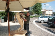 Sculture_Cavino_ 2009 (4)